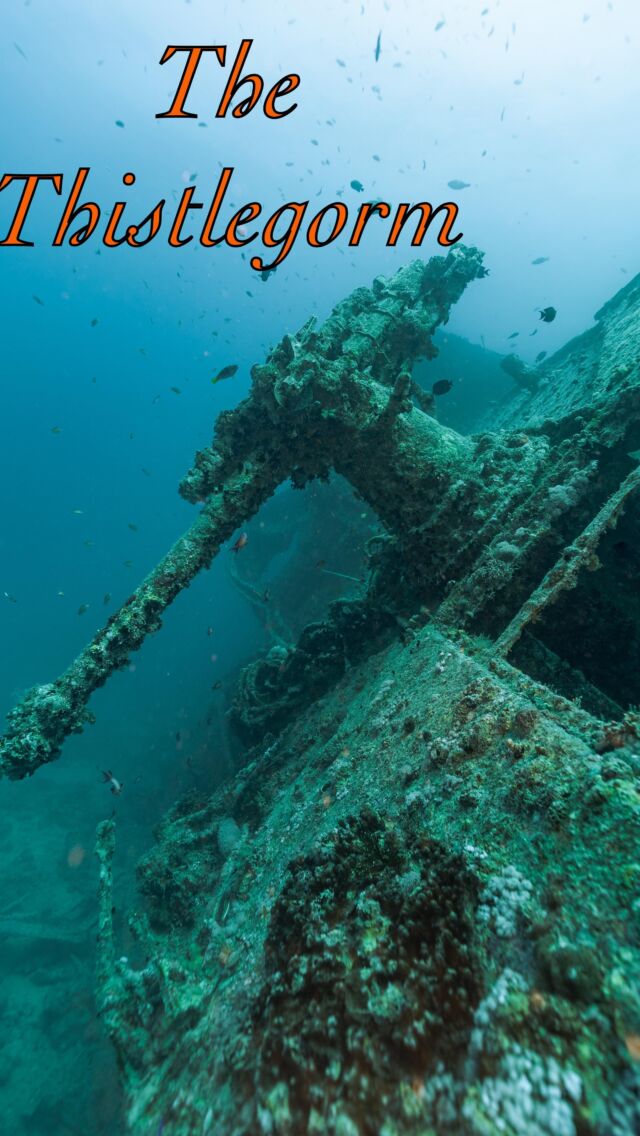 The Thistlegorm is believed to be one of the best shipwreck dive sites in the world; however it is also a maritime grave for the 9 sailors who lost their lives when the ship was attacked by Luftwaffe aircraft in 1941.  Today, at the depth of 25-32 m, the wreck is an underwater museum, a large draw for Egypt’s Red Sea Tourism, and a place to reconnect with our shared cultural heritage.  Due to its extensive history and encompassing history, this shipwreck remains one of my favorite to visit, dive, and to study.
.
💡@krakensports
📷 @sony A7S 16-35mm
📹🏠 @isotta_underwater_housings 
.
#natgeo  #shipwrecks #wreckdiving #wreckdiver #scubadivingmag#historyinstagold  #diving #diverite #deepdive  #sunkenship #oceandiving #scuba_diving #divingwrecks #divephoto #WrecksAtRisk #instascuba #uwlife #divetheworld #maritimearchaeology #archaeology #divingadventure #underwatershot #underwater_world #archaeology_news #shipwreckphotography